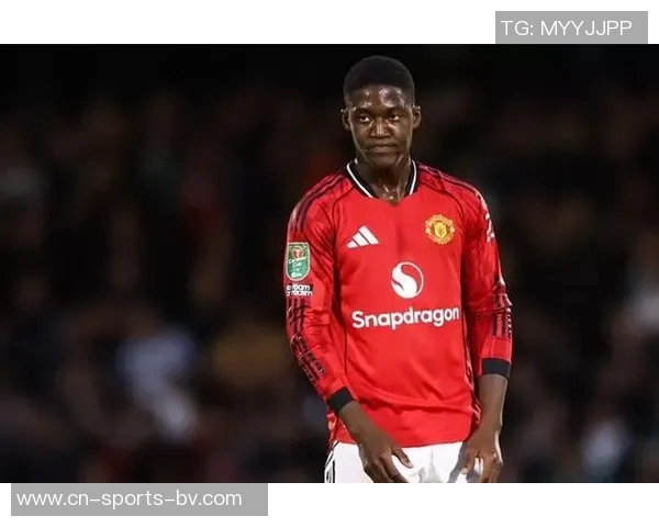 谢林汉姆认为梅努适合利兹联阿莫林的看法并不影响他的潜力