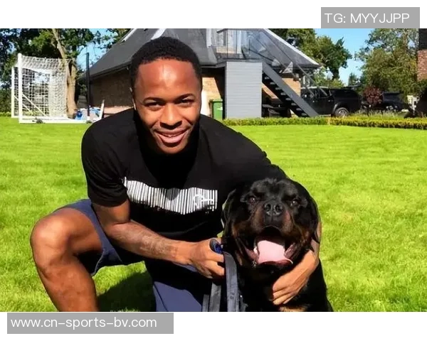 斯特林家遭遇入室抢劫罪犯竟未带走任何贵重物品引发惊讶